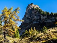 Goldene Herbstlärche vor dem Gschöllkopf im Rofan Gebirge